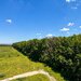 Greenfield Residence, 2 camere cu vedere panoramica spre padure, bloc D6, parcare inclusa.