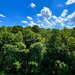 Greenfield Residence, 2 camere cu vedere panoramica spre padure, bloc D6, parcare inclusa.